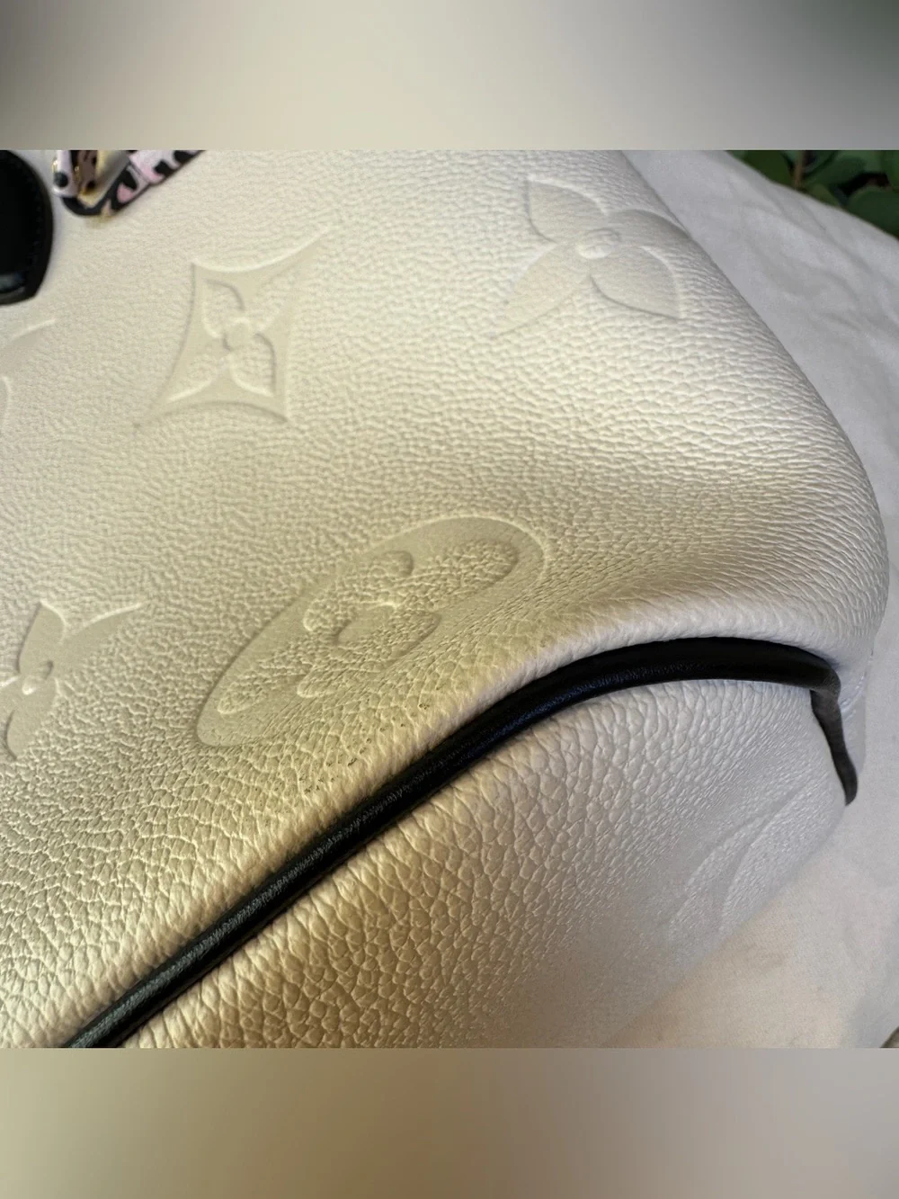 Louis Vuitton Wild at Heart Neverfull MM